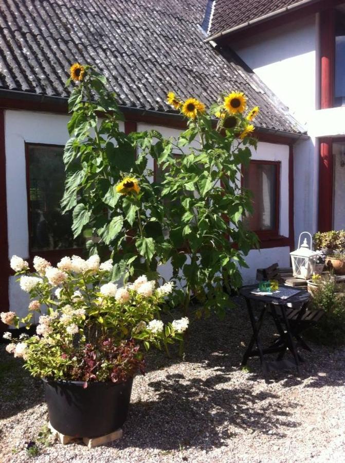 Praestogaard Bed & Breakfast Bagian luar foto