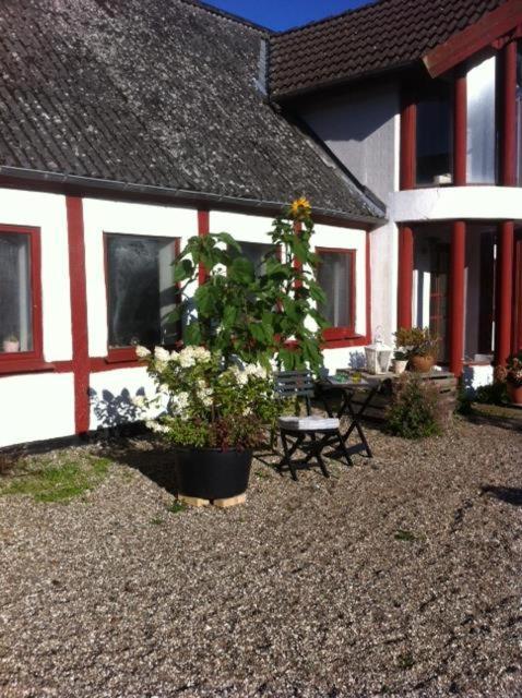 Praestogaard Bed & Breakfast Bagian luar foto