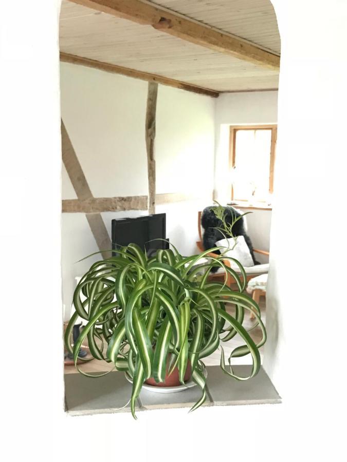 Praestogaard Bed & Breakfast Bagian luar foto